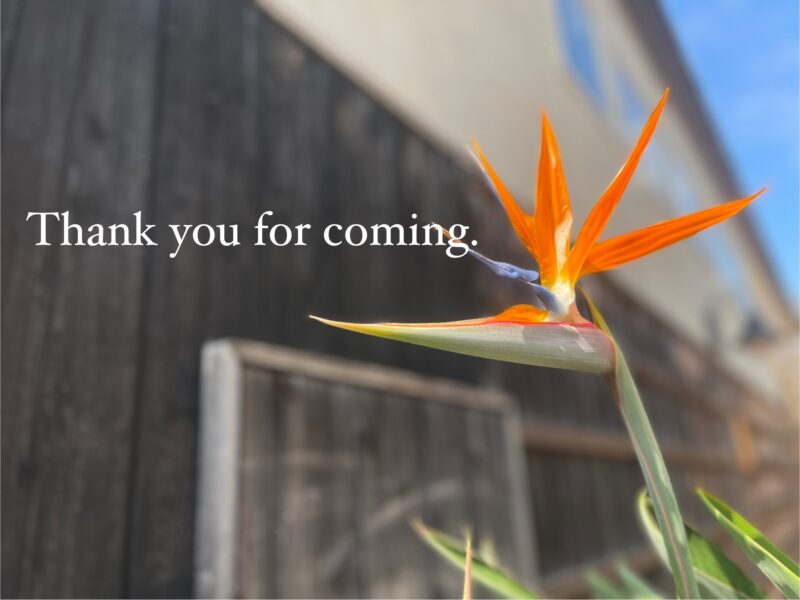 ありがとうございました。