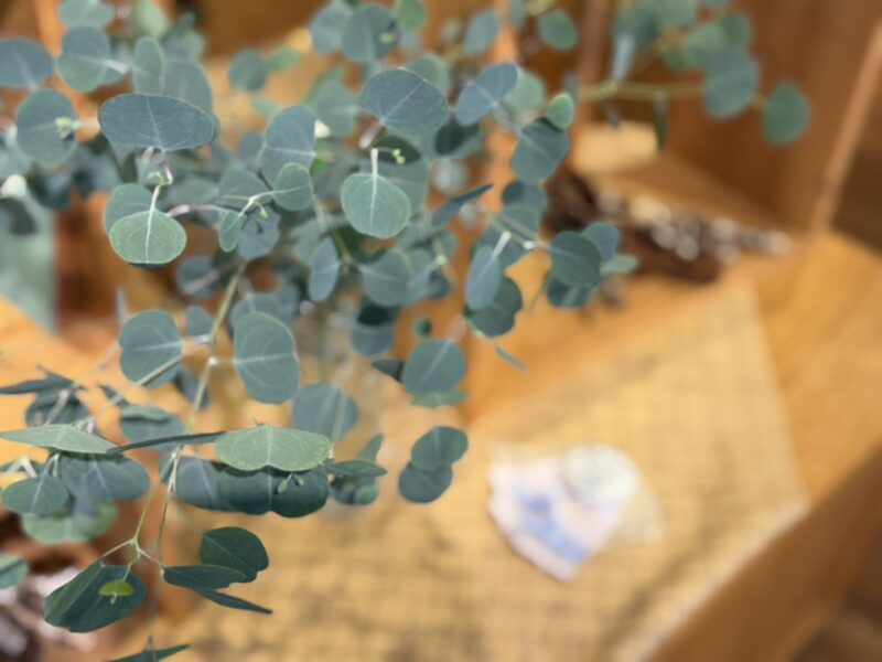 大垣書店 京都本店の営業日について