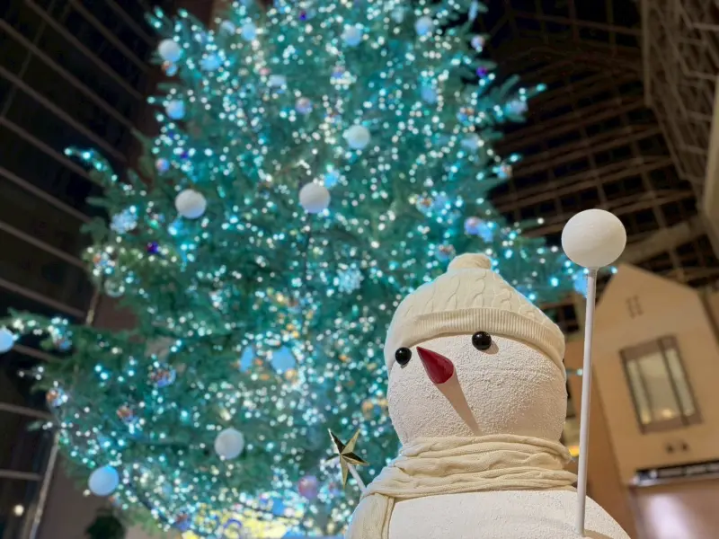 Merry Christmas🧑‍🎄