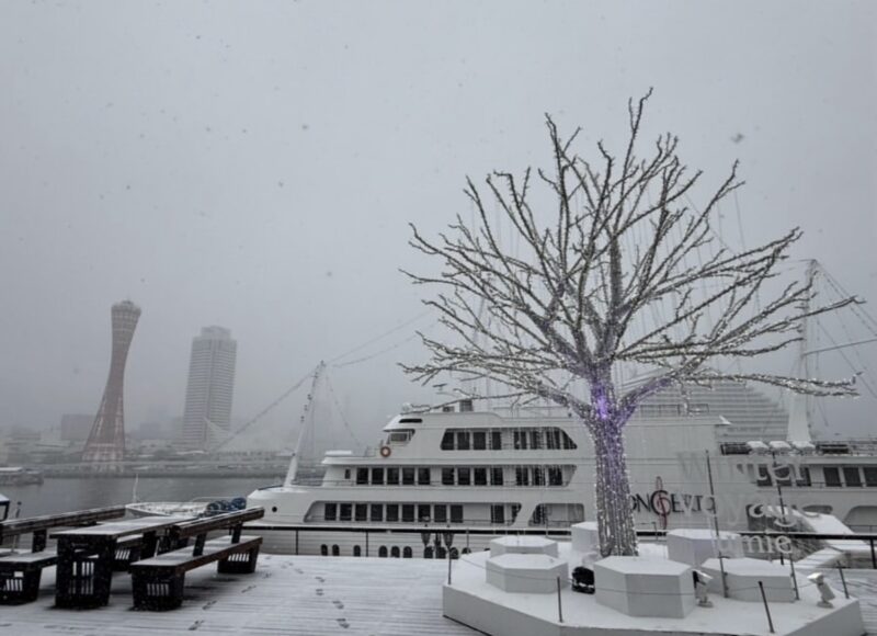 こんなに降りました！