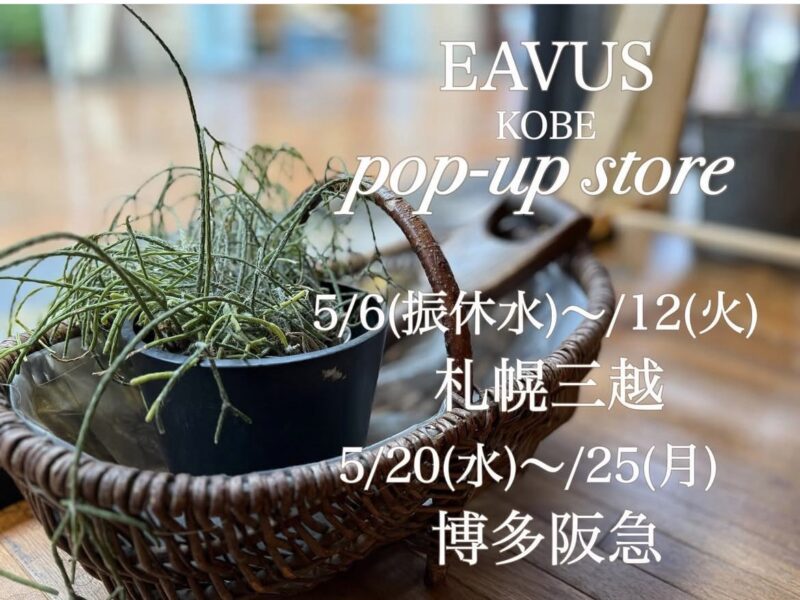 5月度 Pop up store