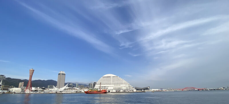 (C5) サルビアレザー