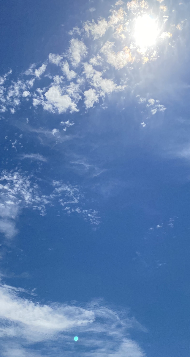EAVUS IMAGE - 13